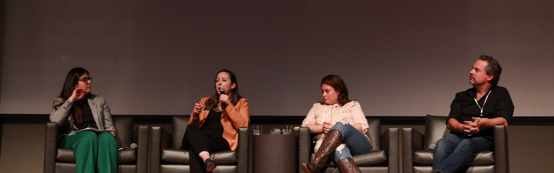 Infiltrators Panelists on stage